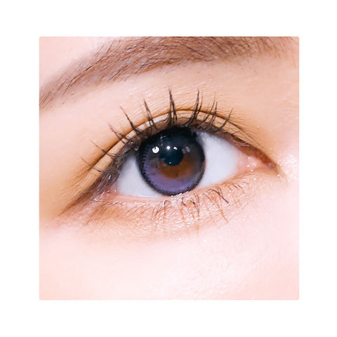 [Monthly] i-SHA Polaris Ursa Deep Wine Colored Contact Lenses - Silicone hydrogel